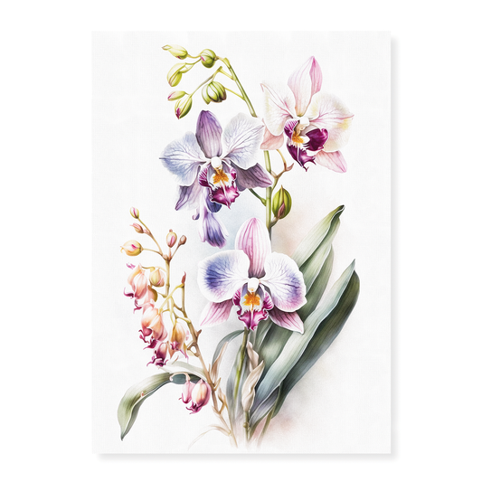 Orchids IV - Art Print