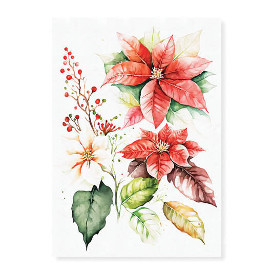 Poinsettias II - Art Print