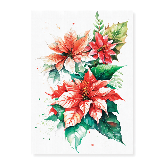 Poinsettias III - Art Print