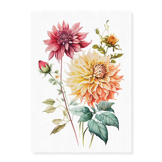 Dahlia's 1 - Art Print