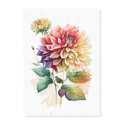 Dahlia's 3 - Art Print