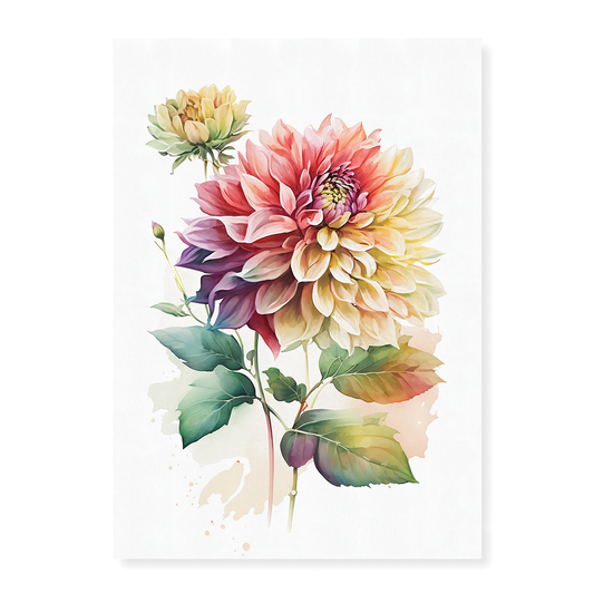 Dahlia's 3 - Art Print
