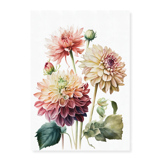 Dahlia's 4 - Art Print