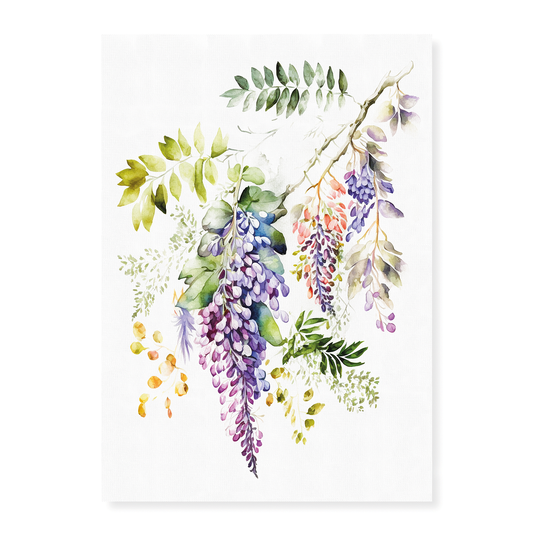 wisteria 2 - Art Print