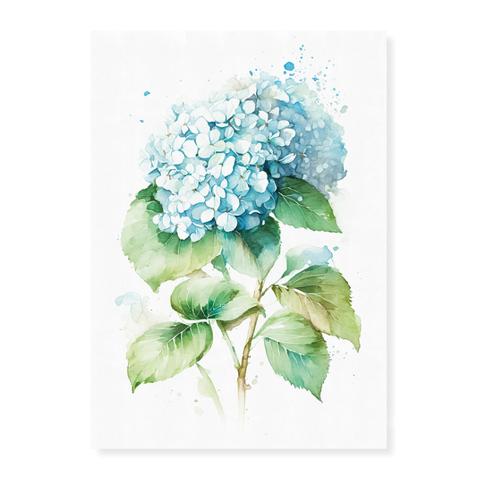 Hydrangea 4 - Art Print