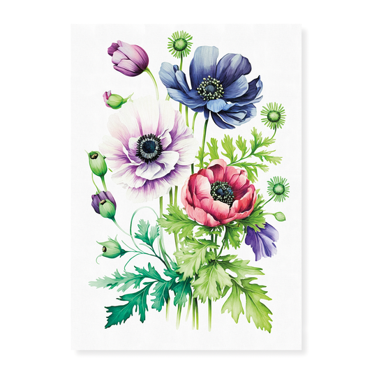 Anemone 1 - Art Print