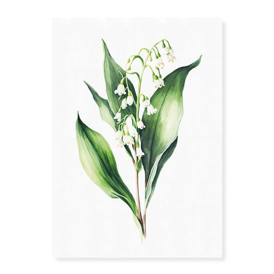 Lily of the valley 3 - Art Print