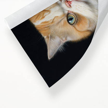 Renaissance painting of a Exotic Shorthair - Art Print