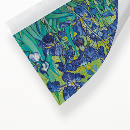 Vincent Van Gogh's Irises  - Art Print