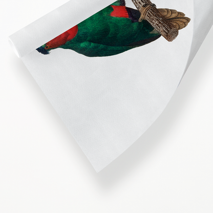 The blue-crowned lorikeet, Vini australis  - Art Print