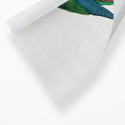 The Blue-Winged Macaw, Primolius maracana III - Art Print