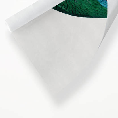 The Cuban Amazon, Amazona leucocephala - Art Print