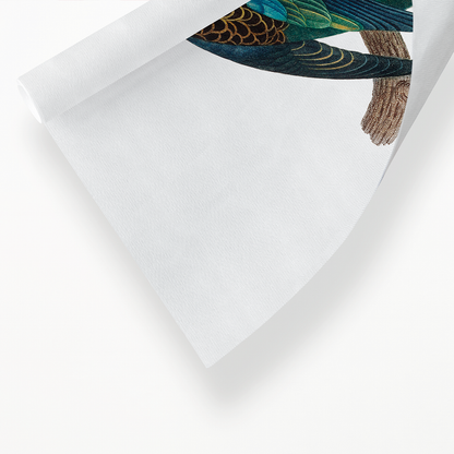 The Eastern Rosella, Platycercus eximius II - Art Print