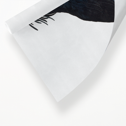 The Palm Cockatoo, Probosciger aterrimus II - Art Print