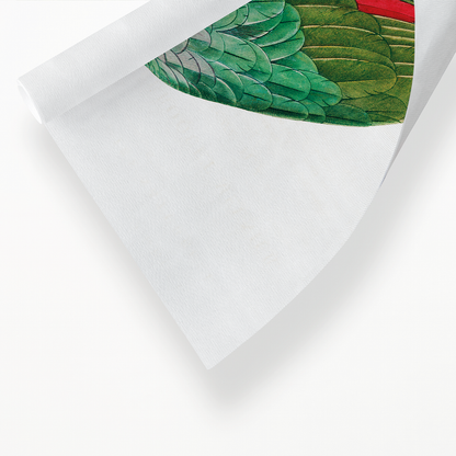 The Southern Mealy Amazon, Amazona farinosa  - Art Print