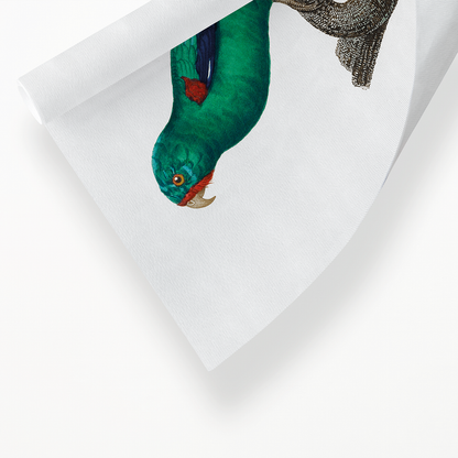The Swift Parrot, Lathamus discolor I - Art Print