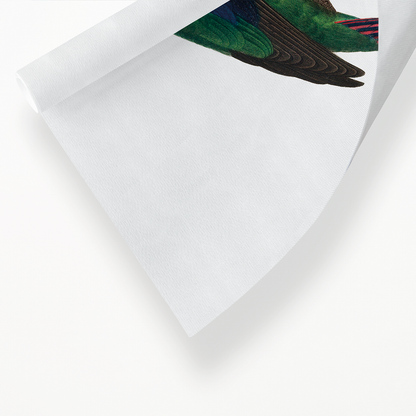 The swift parrot, Lathamus discolor II - Art Print