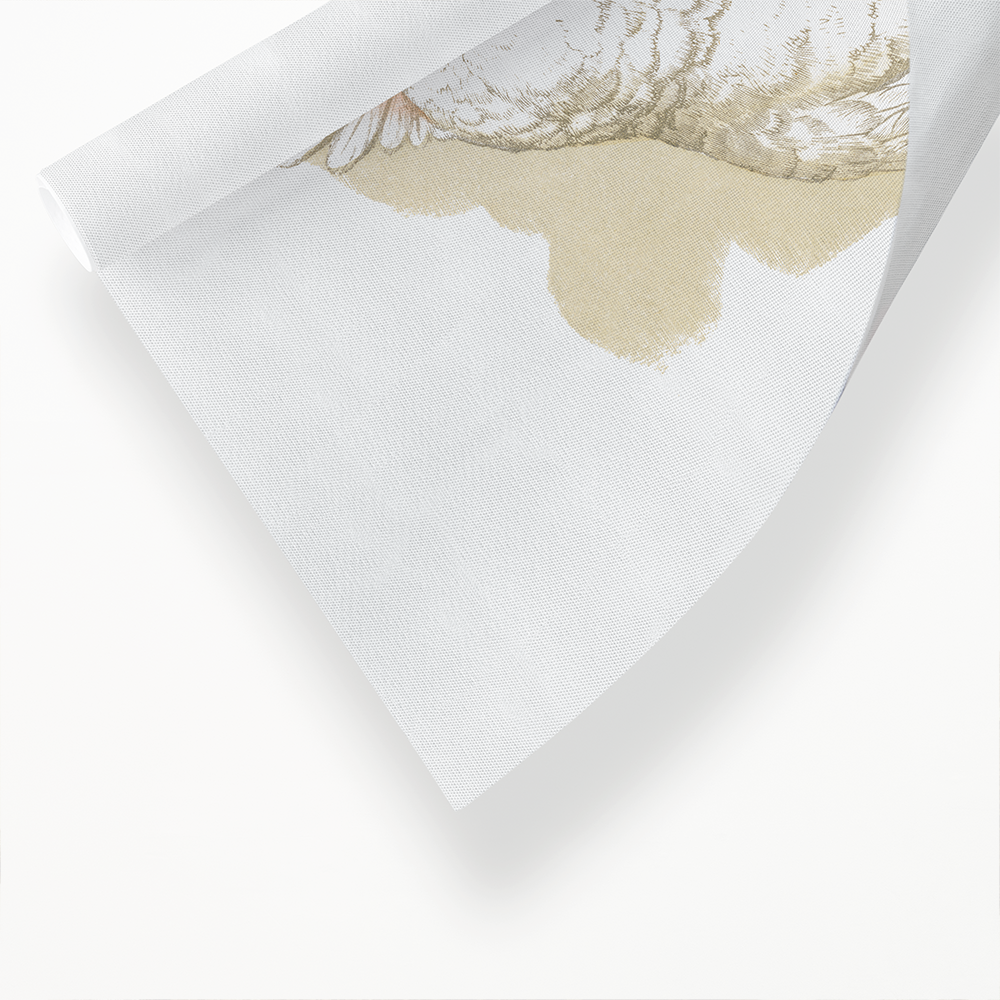 Goffin's Cockatoo - Art Print