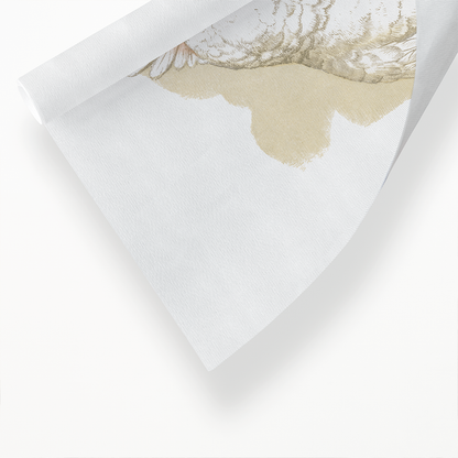 Goffin's Cockatoo - Art Print
