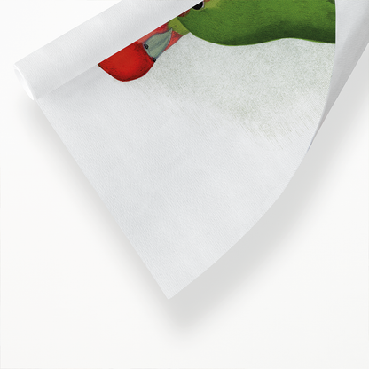 Rosy-Faced Love-Bird - Art Print