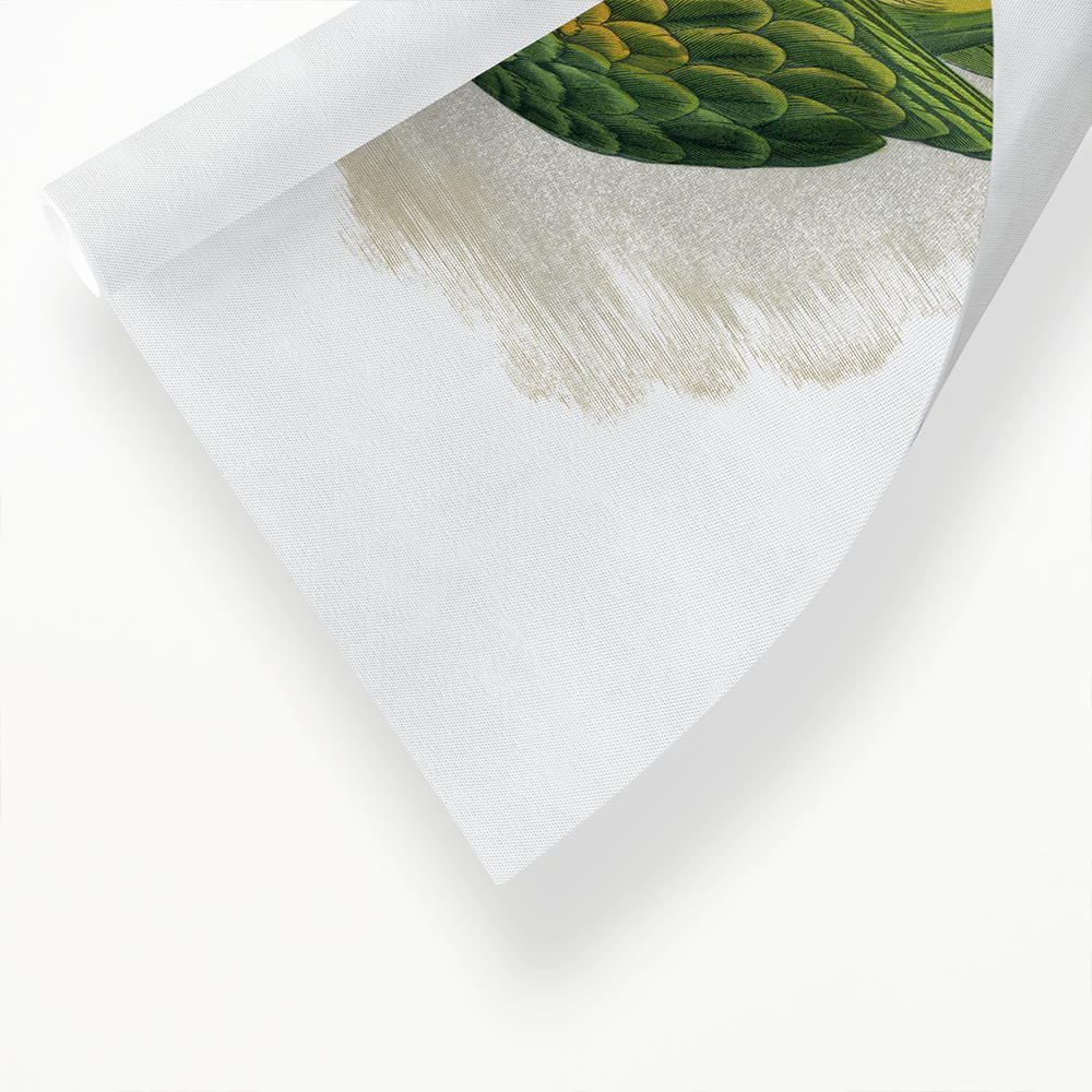 Javan Parrakeet  - Art Print