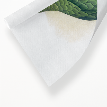 Mealy Amazon - Art Print