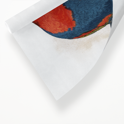Tri-Coloured or Black-Capped Lory  - Art Print