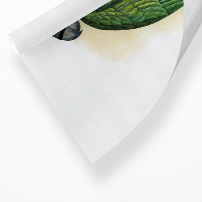 Masked Parrakeet - Art Print