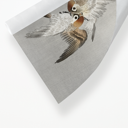 Sparrows and snowy plum tree By Ohara Koson - Art Print