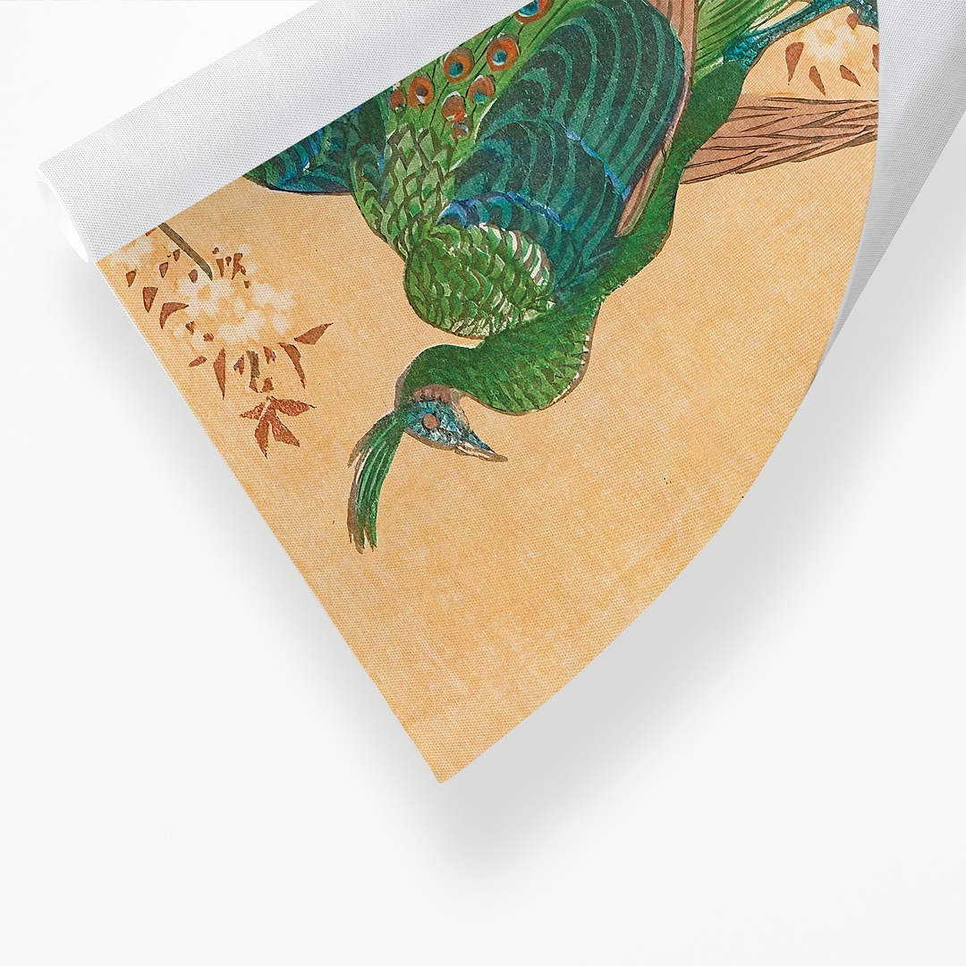 Peacock and Peahen on Branch By Ohara Koson - Art Print