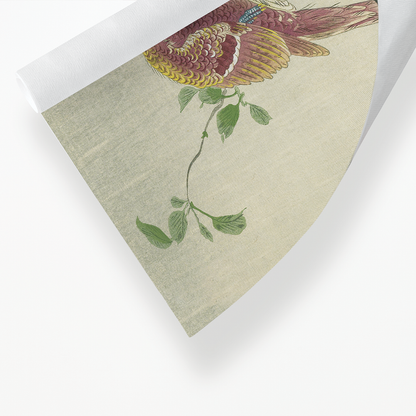 Copper Pheasant By Ohara Koson - Art Print