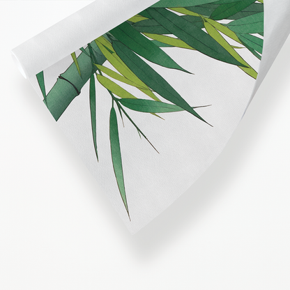 Bamboo III By Shodo Kawarazaki - Art Print