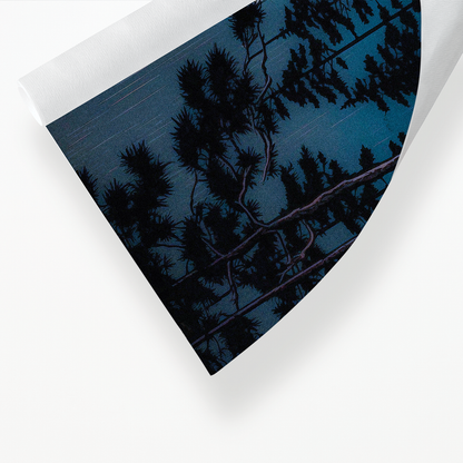 Japanese house in the night - Art Print