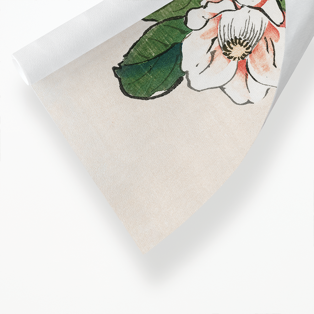 Camelia by Kōno Bairei  - Art Print