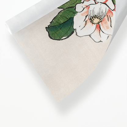Camelia by Kōno Bairei  - Art Print