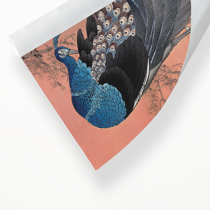 Two peacocks on tree branch (1900 - 1930) by Ohara Koson  - Art Print