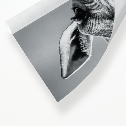 It's a giraf (Horizontal) - Art Print