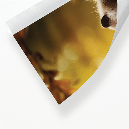 Meerkat in the woods - Art Print