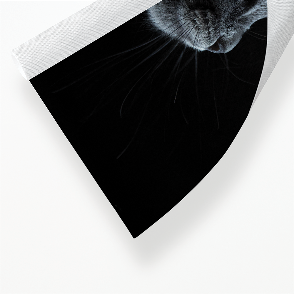 Cute gray cat - Art Print