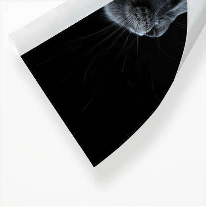 Cute gray cat - Art Print