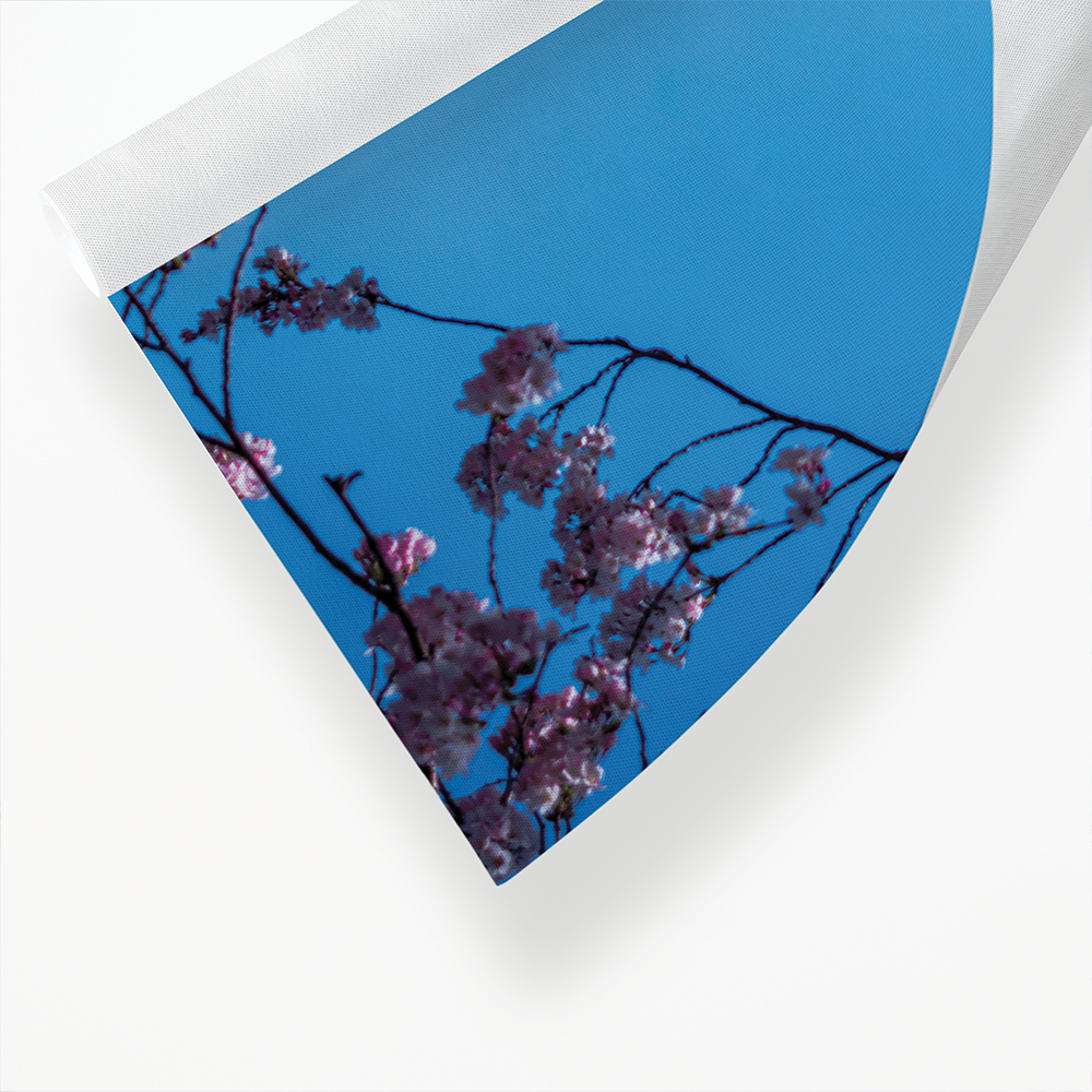 Blooming pink blossom branches with Fuji Mountain - Art Print