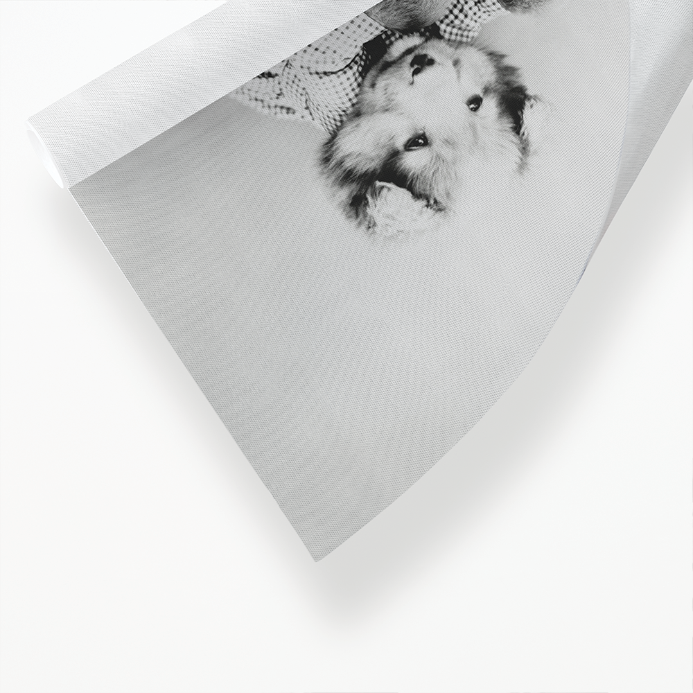 Dog watering plant - Art Print