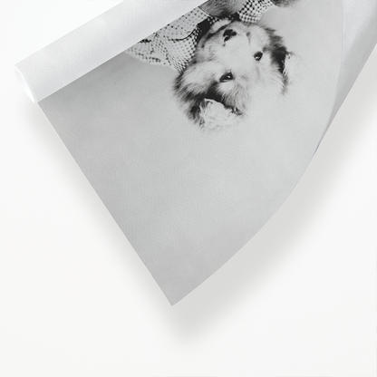 Dog watering plant - Art Print