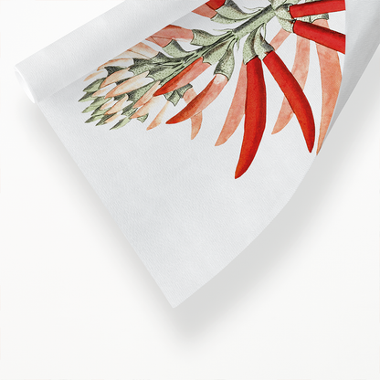 Naked-flowering Erythrina - Art Print