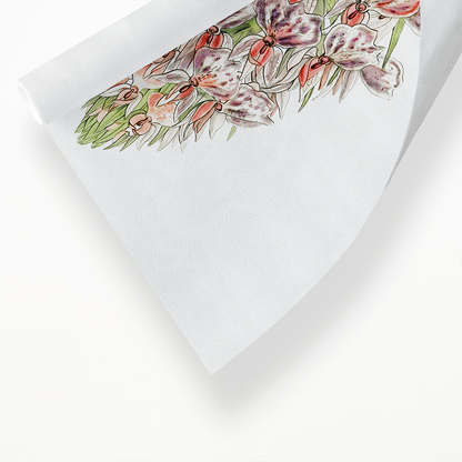Leafy spiked orchis - Art Print