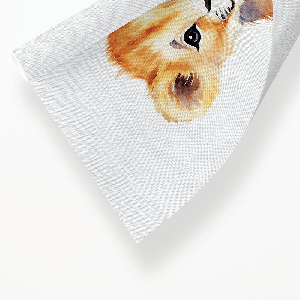 Little lion cub - Art Print