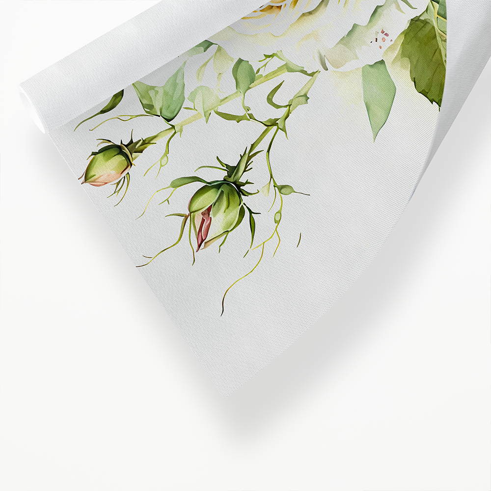 White rose I - Art Print