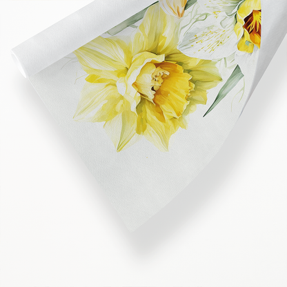 Daffodils II - Art Print