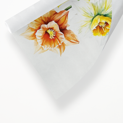Daffodils III - Art Print