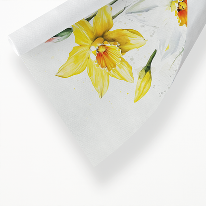 Daffodils IV - Art Print